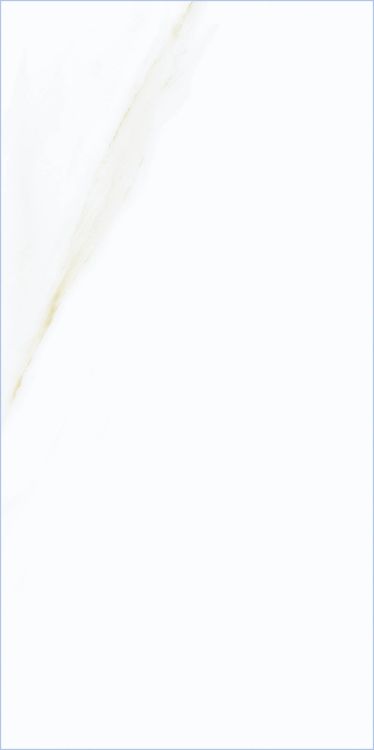 Time Cielo Matte 12 x 24